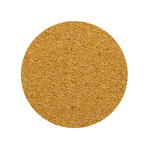 Amaranth Seeds Organic Main image