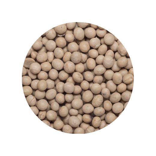 Soy Beans Unhulled EU Organic
