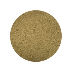 Fennel Powder Roasted Germ-Reduced Organic