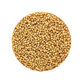 Mustard Seed Whole Yellow Sinapis Alba Low Erucic Acid Organic