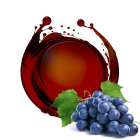 Balsamic Vinegar Organic 5L (aged)
