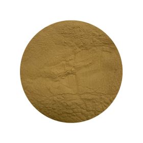 Lion's Mane Extract 30% Biologisch