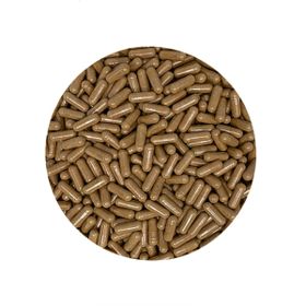 Cordyceps kapszula 500 mg BIO