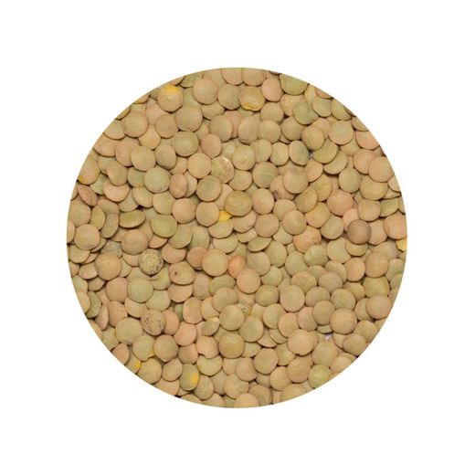 Lenticchie Verdi Laird Biologiche immagine principale