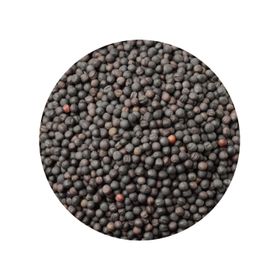 Mustard Seed Black Whole Organic