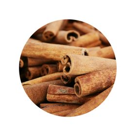Cinnamon Sticks 7 cm Cassia Organic