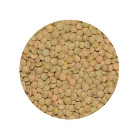 Lentils Green Laird Organic