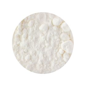 Kokosnoot Melk Poeder Biologisch