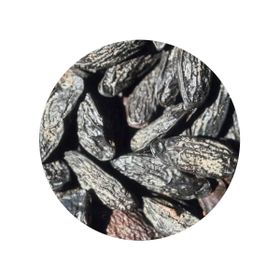 Tonka Beans Whole Organic