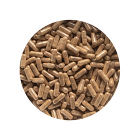 Shilajit Capsules 1000 Stuks