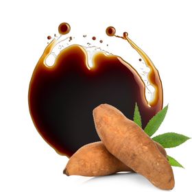 Yacon Siroop Biologisch