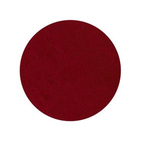 Beetroot Juice Concentrate Powder Organic