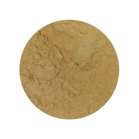 Cordyceps Sinensis Extrakt 30% BIO
