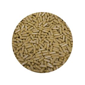 Oroszlánsörény kapszula 450 mg BIO