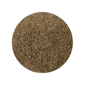 Caraway Germ-Reduced Organic