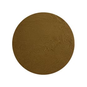 Reishi Extract 30% Biologisch