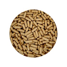Maitake Capsules Biologisch 450mg