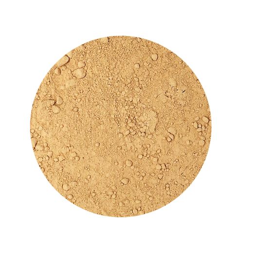 Shiitake Mushroom Powder Organic