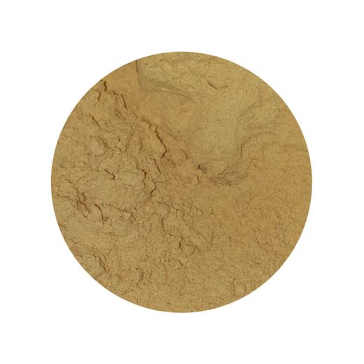 Cordyceps Extract 30% Biologisch hoofdafbeelding