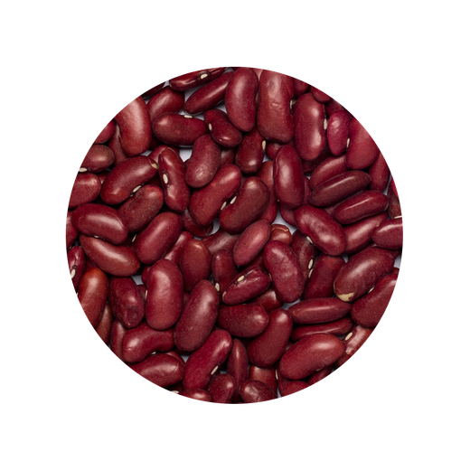 Rode Kidneybonen Biologisch hoofdafbeelding